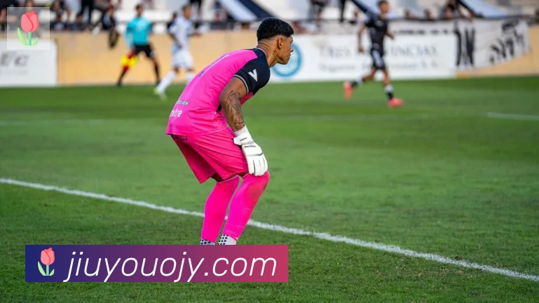 平台展示图